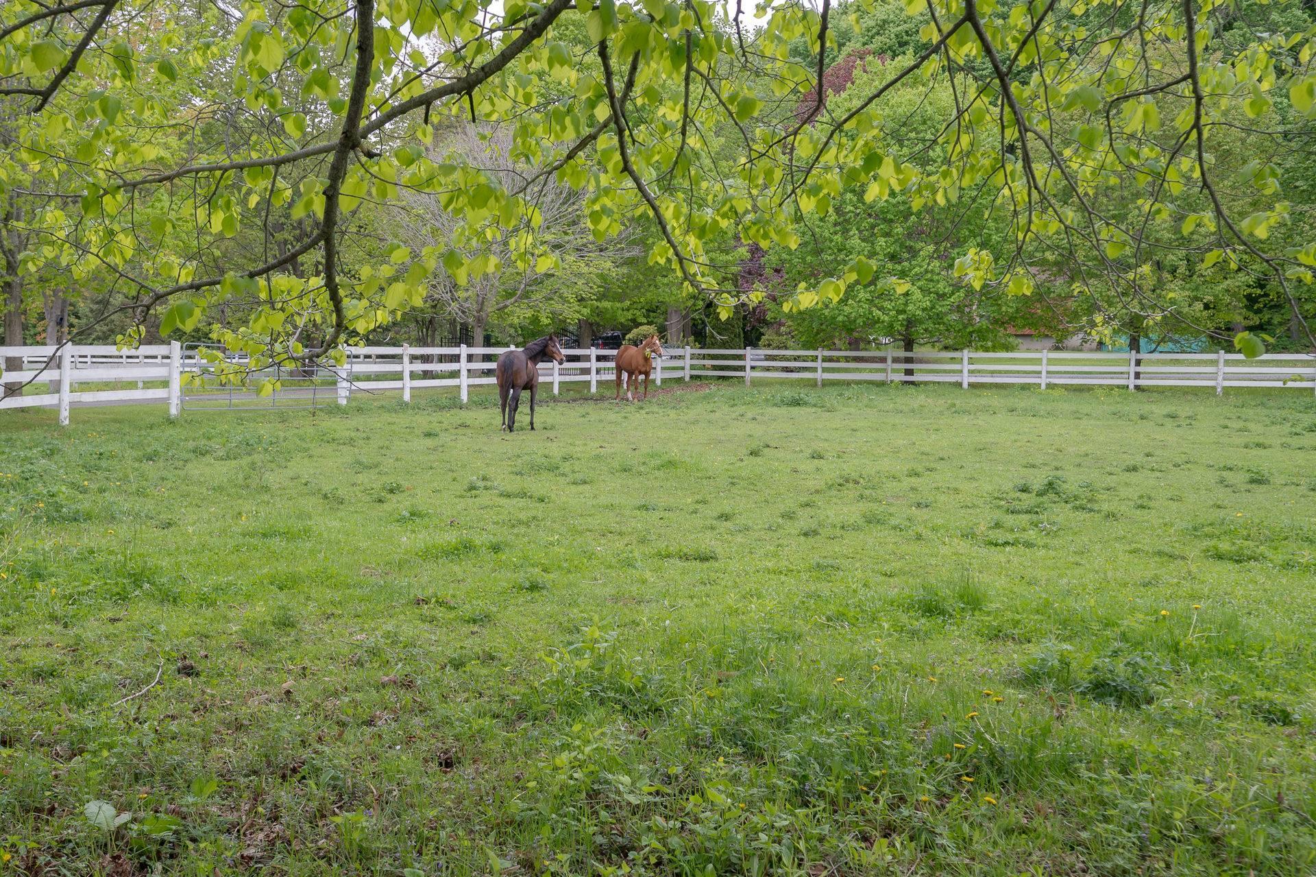 









76Z


Ch. Park

,
Rigaud,




QC
J0P1P0

