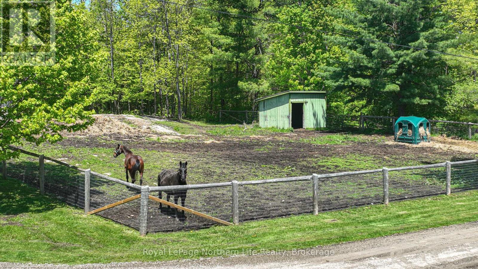 












1028 CARLYON LINE

,
Severn,




Ontario
L3V0W8

