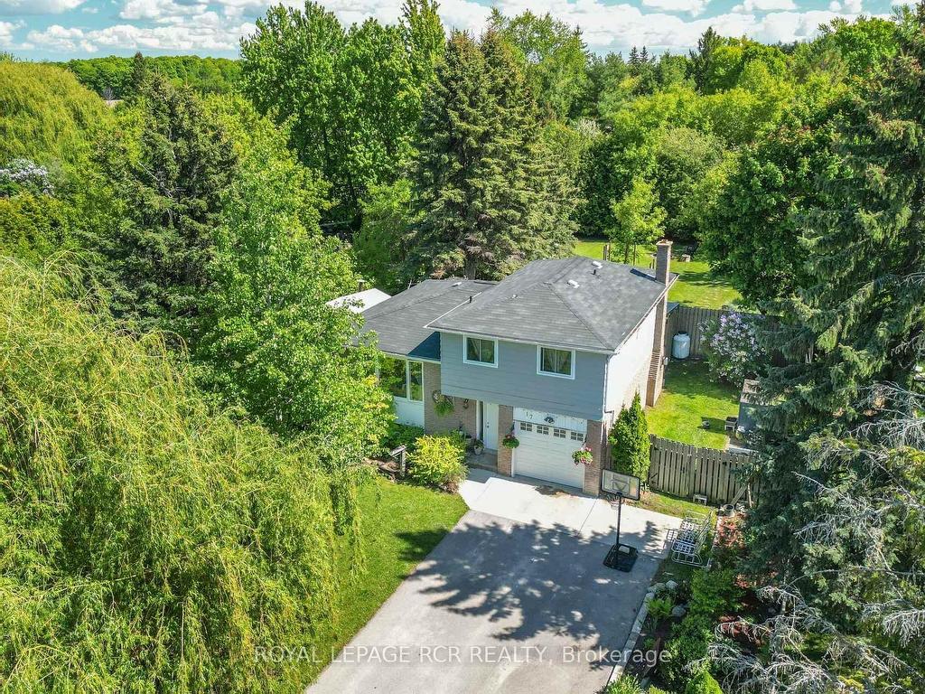 









17


Jamieson

Drive,
Adjala-Tosorontio,




ON
L0N 1R0

