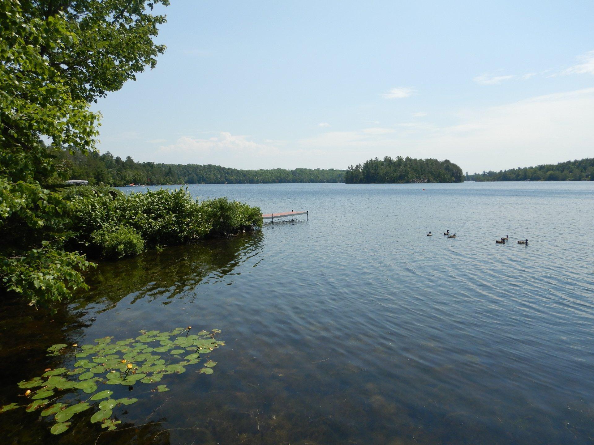 









75


Rue des Tulipes

,
Saint-Denis-de-Brompton,




QC
J0B2P0


