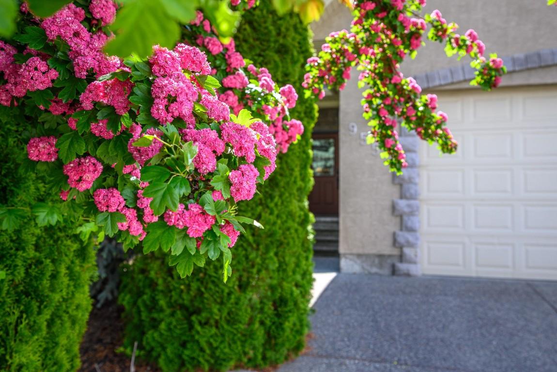 









955


Mt Begbie

Drive,
Vernon,




BC
V1B 2Z5


