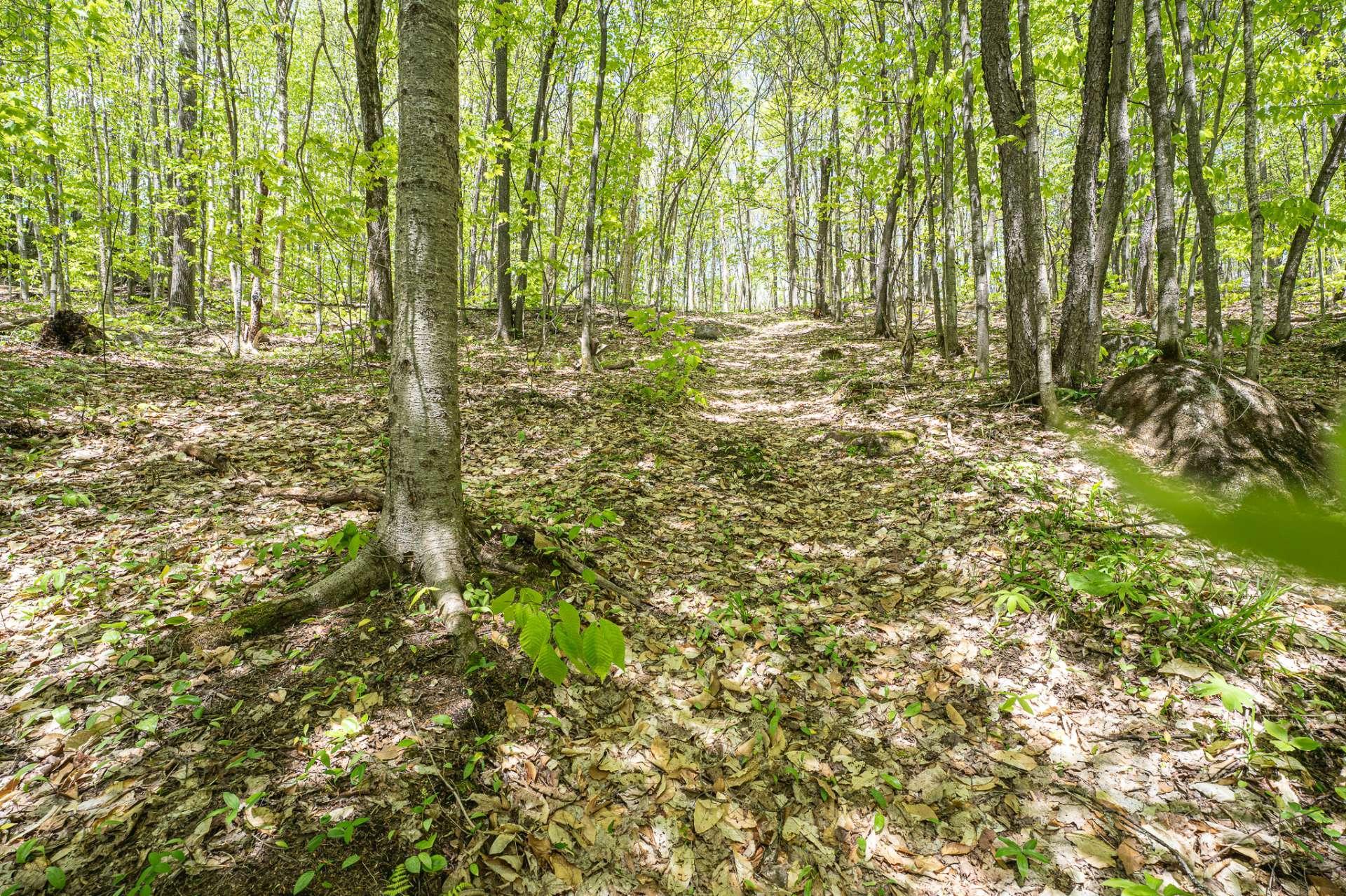 









215


Ch. des Marronniers

,
Saint-Adolphe-d'Howard,




QC
J0T2B0

