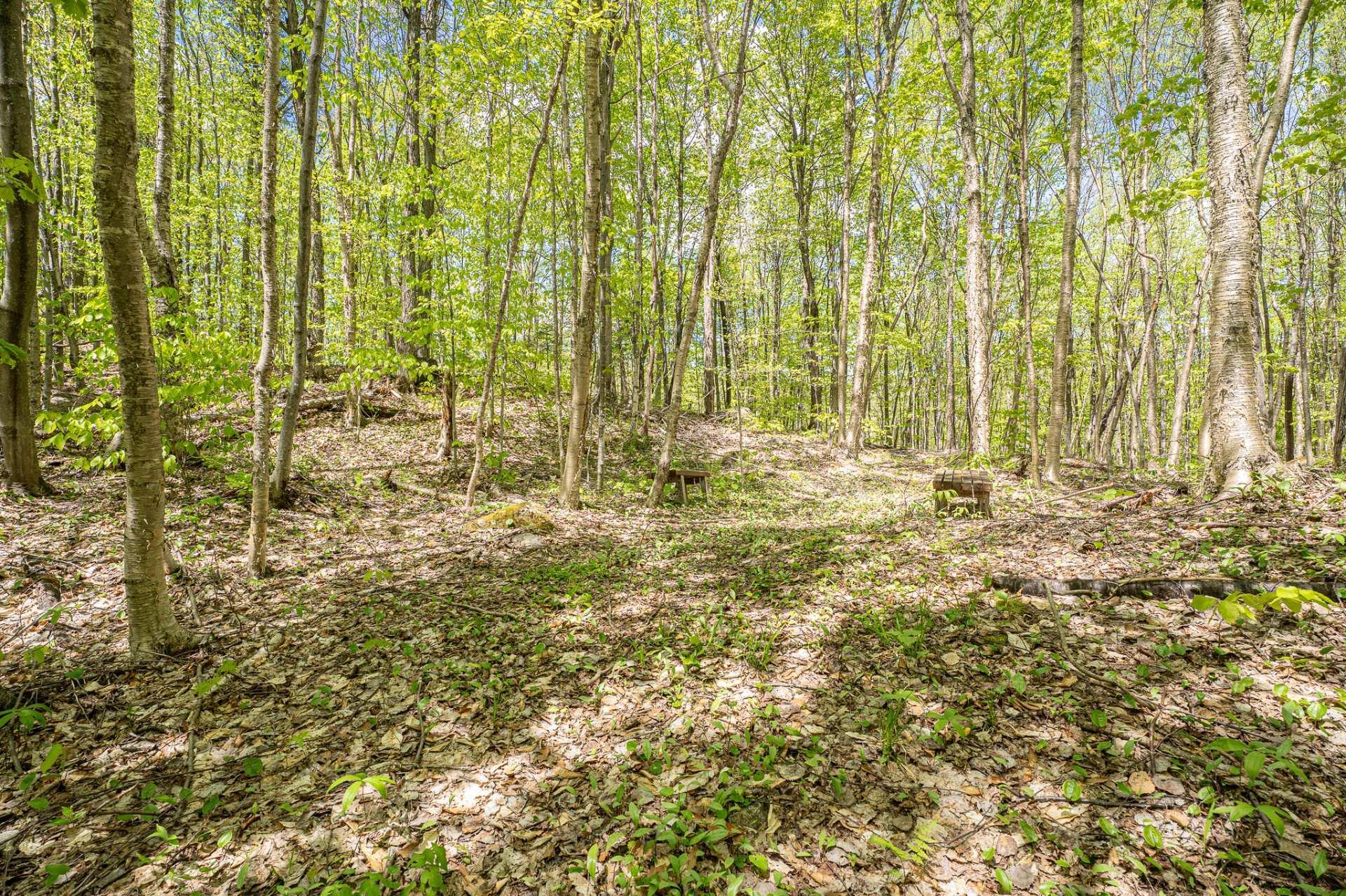 









215


Ch. des Marronniers

,
Saint-Adolphe-d'Howard,




QC
J0T2B0

