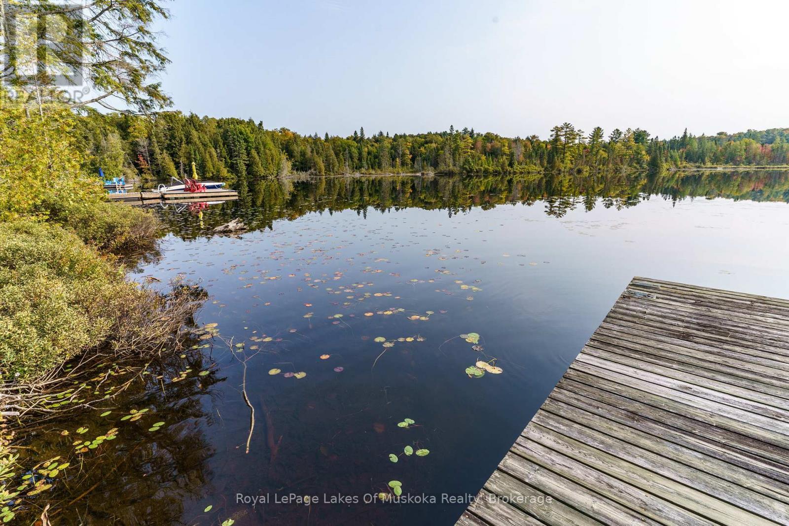 












1119 GRIST MILL LANE

,
Algonquin Highlands (Livingstone),




Ontario
P0A1E0

