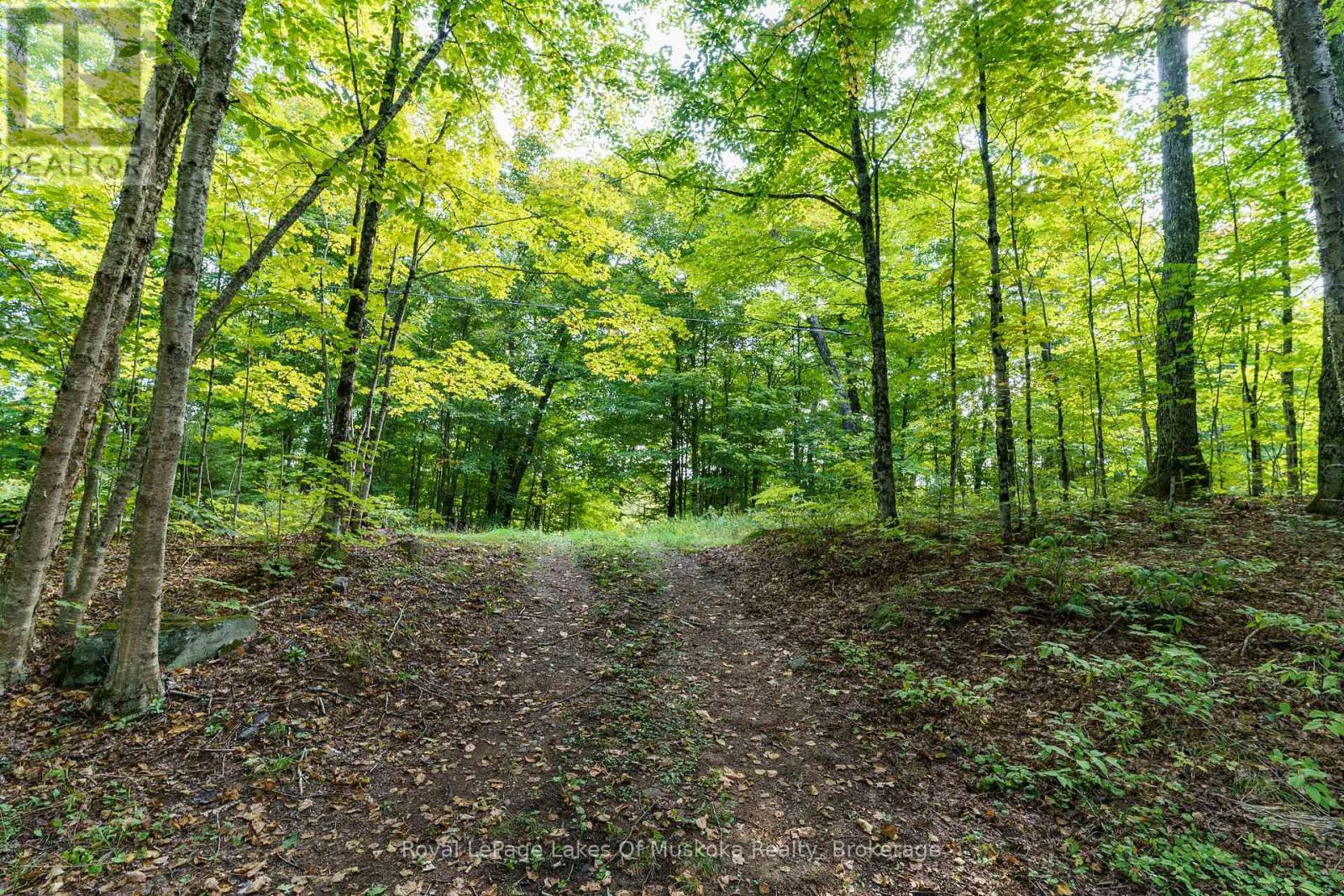












1119 GRIST MILL LANE

,
Algonquin Highlands (Livingstone),




Ontario
P0A1E0

