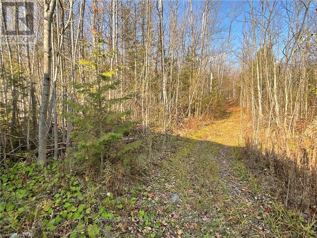 












3467 COUNTY RD 36

,
Trent Lakes,




Ontario
K0L1J0

