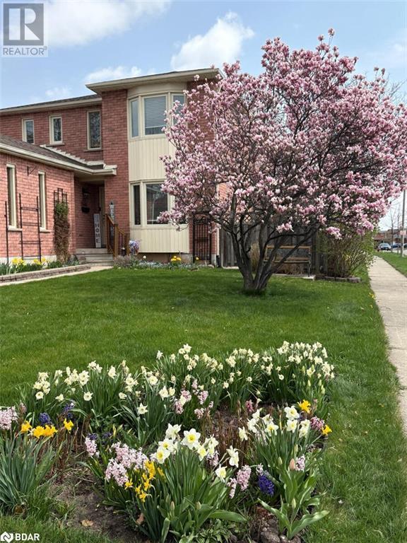 












262 MURRAY Street

,
Brampton,




Ontario
L6X3T4

