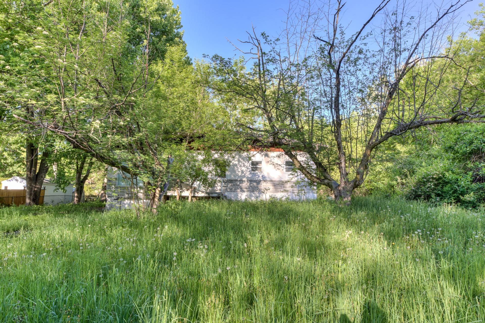 









50


Tsse Coutu

,
Laval (Auteuil),




QC
H7J1A6

