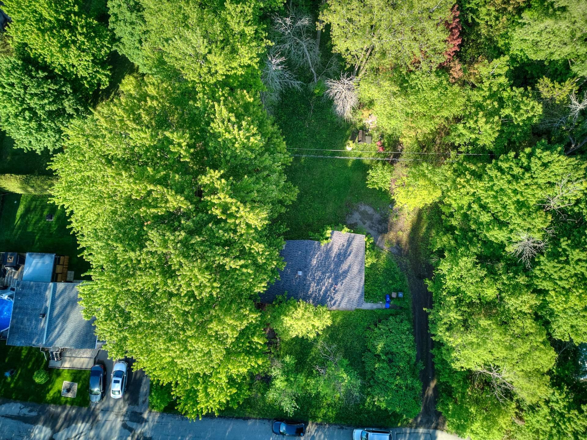 









50


Tsse Coutu

,
Laval (Auteuil),




QC
H7J1A6


