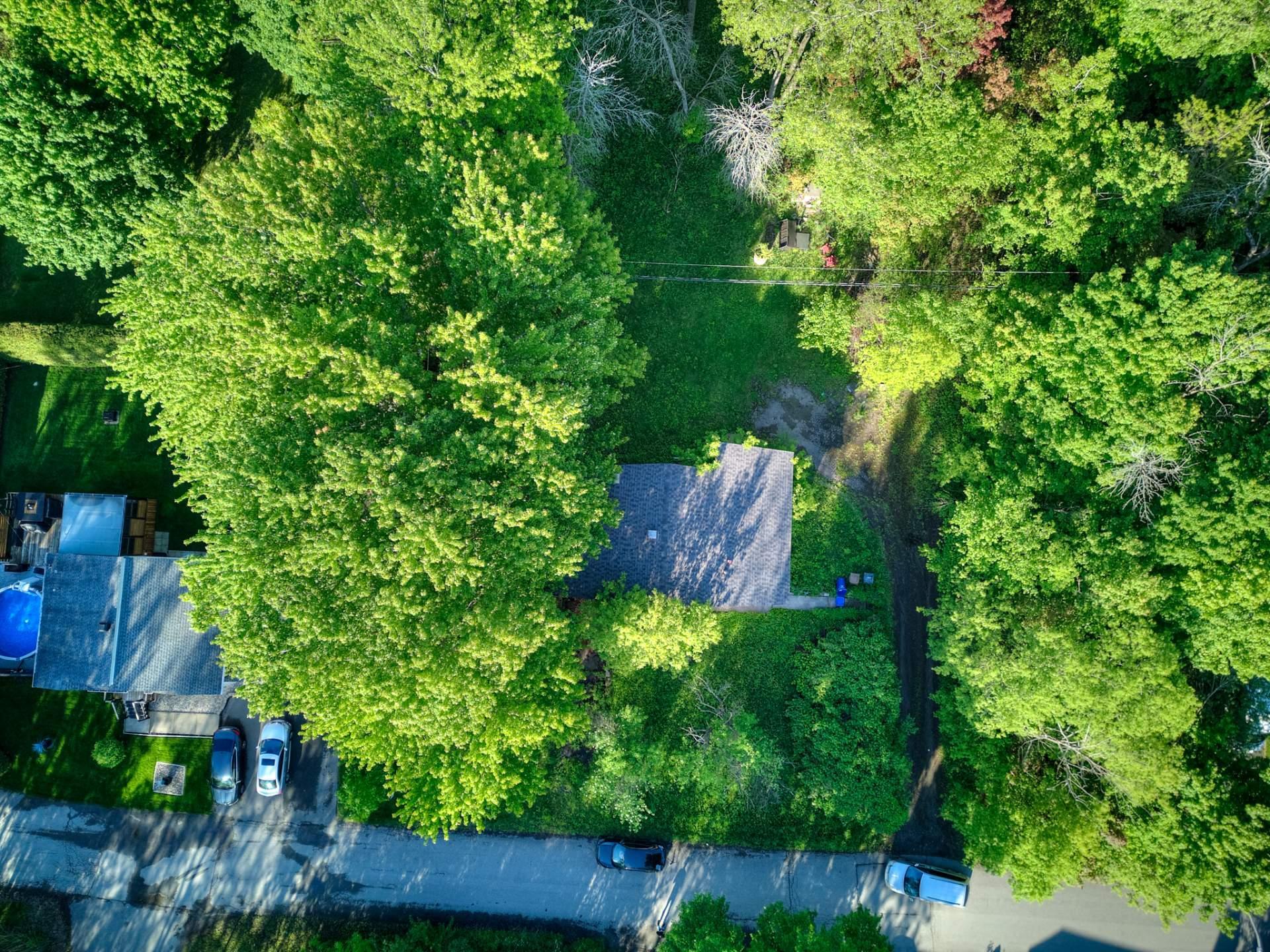 









50


Tsse Coutu

,
Laval (Auteuil),




QC
H7J1A6

