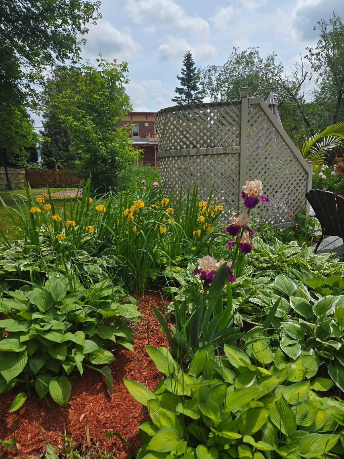 









443


Rue Ste-Marie

,
Lanoraie,




QC
J0K1E0

