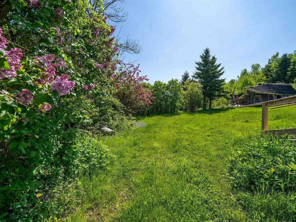 












2 George Street

,
Stewiacke,







NS
B0N 1J0

