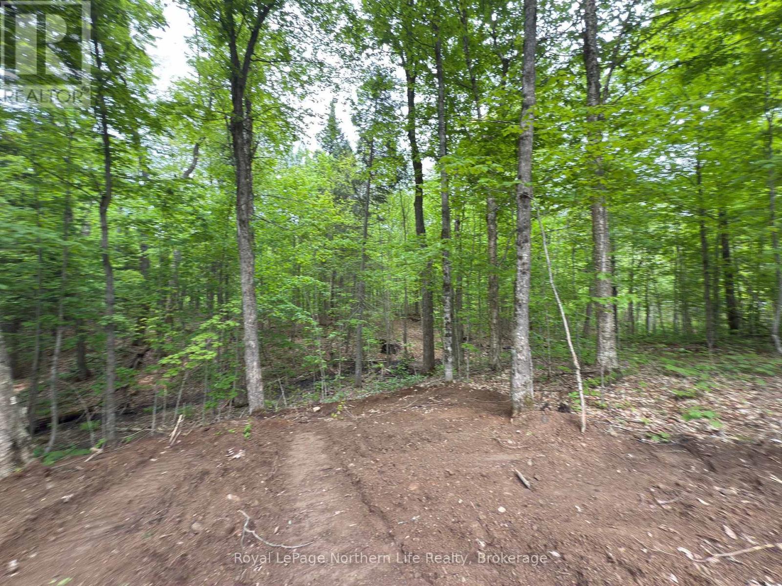












1A HIGHWAY 522

,
Parry Sound Remote Area (Pringle),







Ontario
P0H2R0

