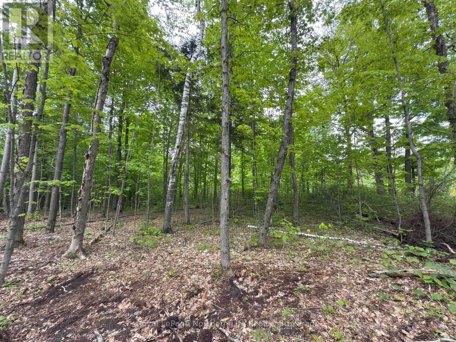 












1A HIGHWAY 522

,
Parry Sound Remote Area (Pringle),







Ontario
P0H2R0

