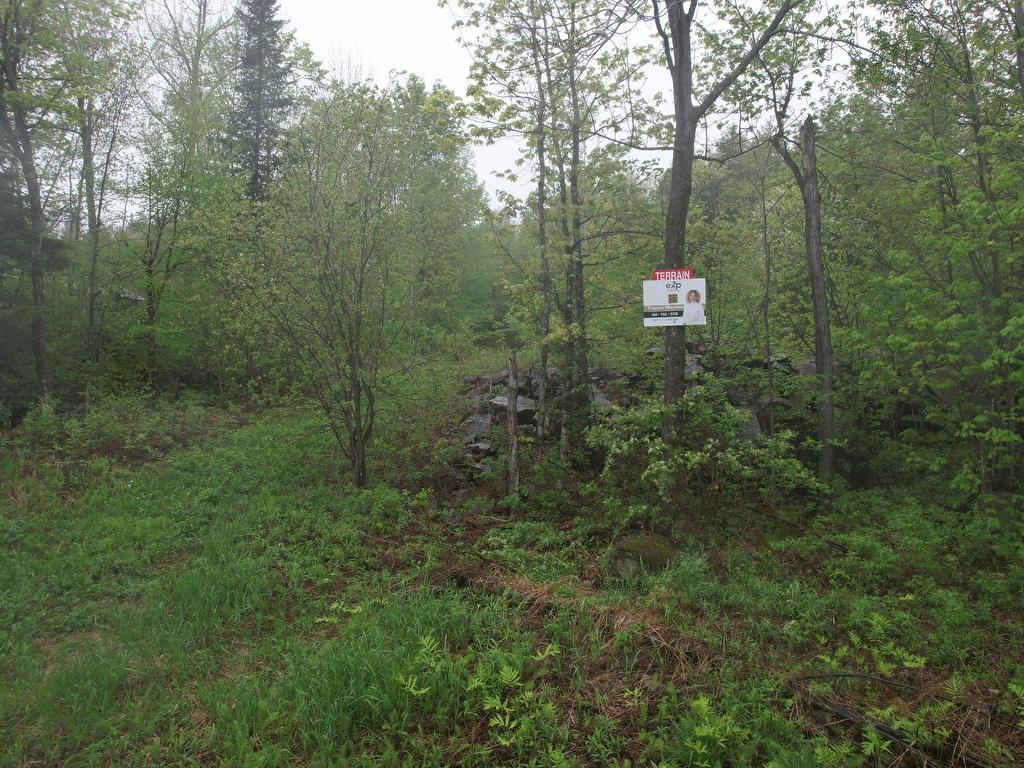 












Rue Caya

,
Saint-Colomban,







QC
J5K1R7


