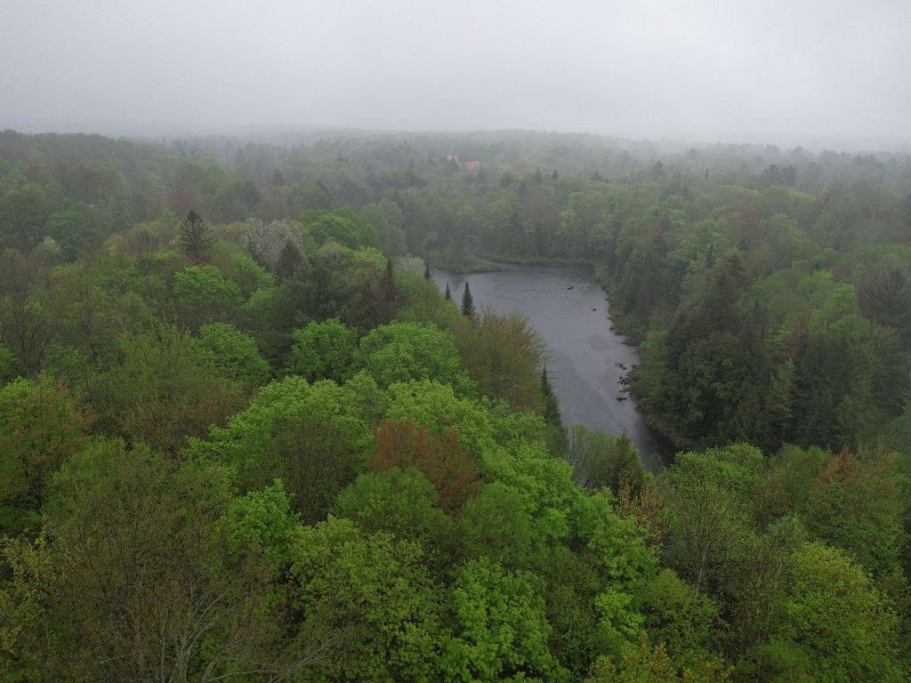 












Rue Caya

,
Saint-Colomban,







QC
J5K1R7

