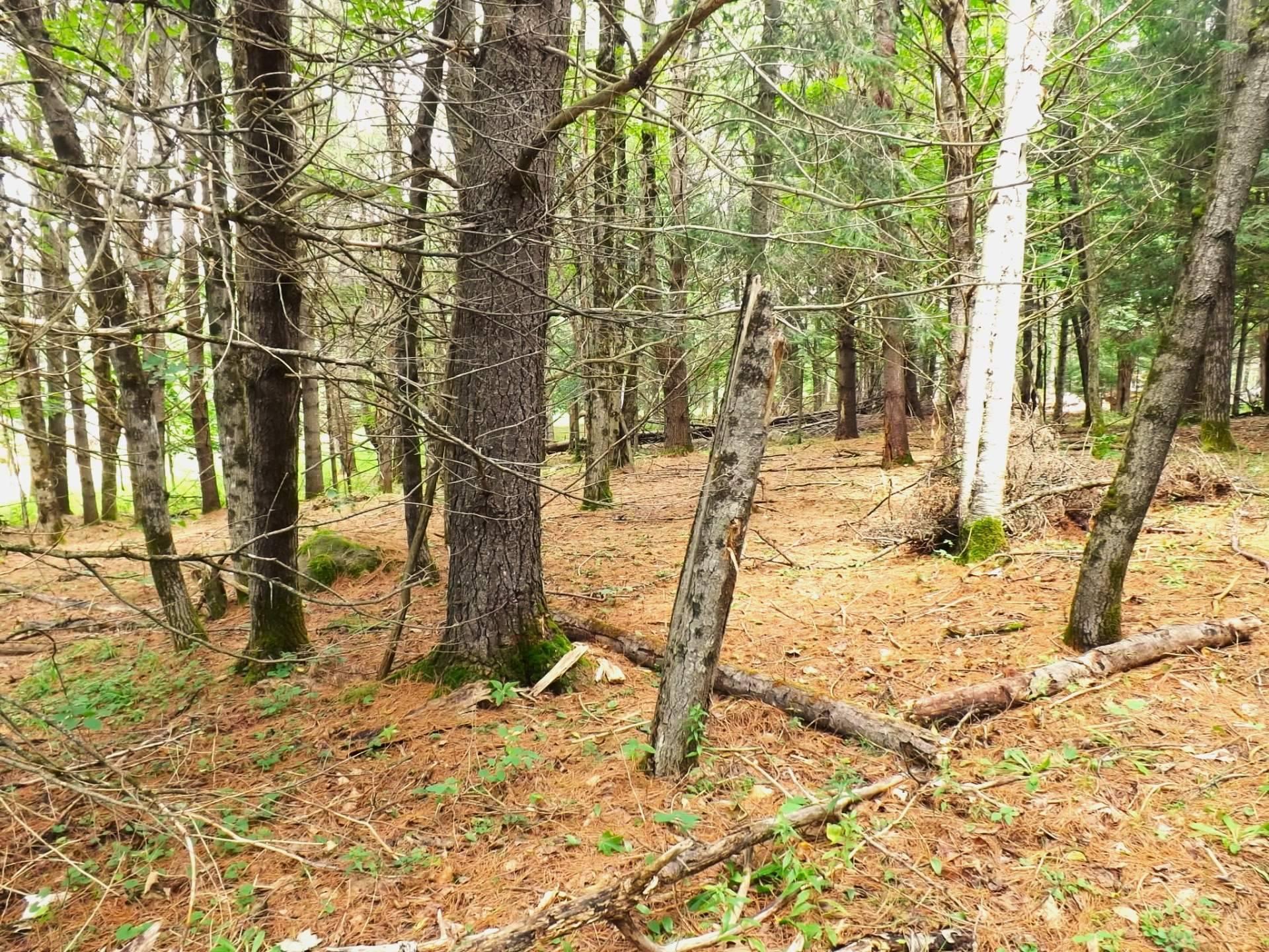 









18


Ch. Dewar

,
Harrington,







QC
J8G2T3

