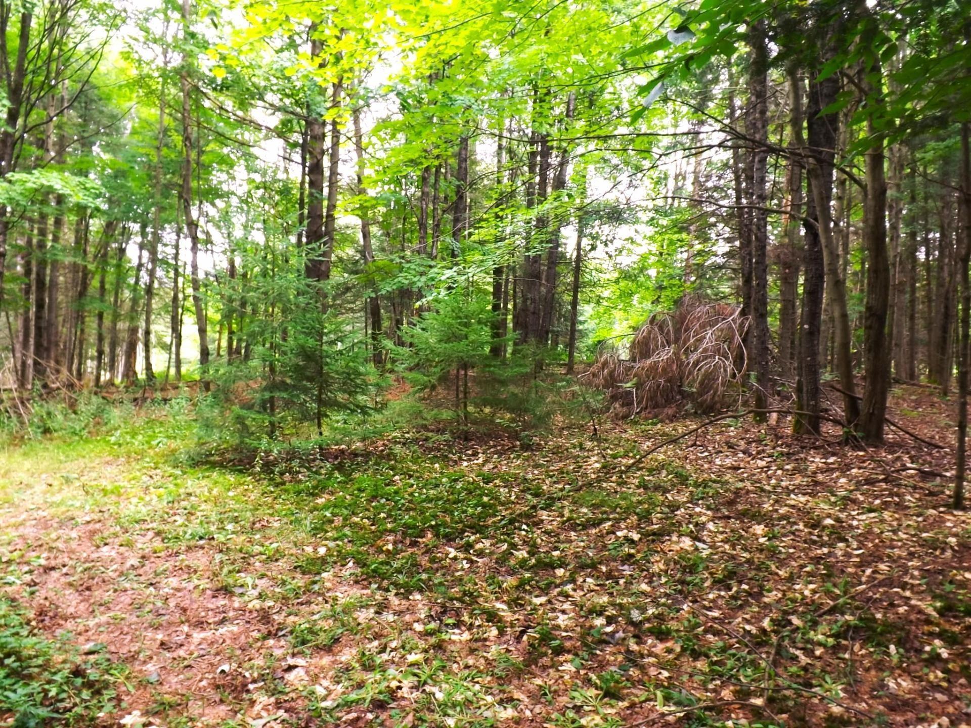 









18


Ch. Dewar

,
Harrington,







QC
J8G2T3

