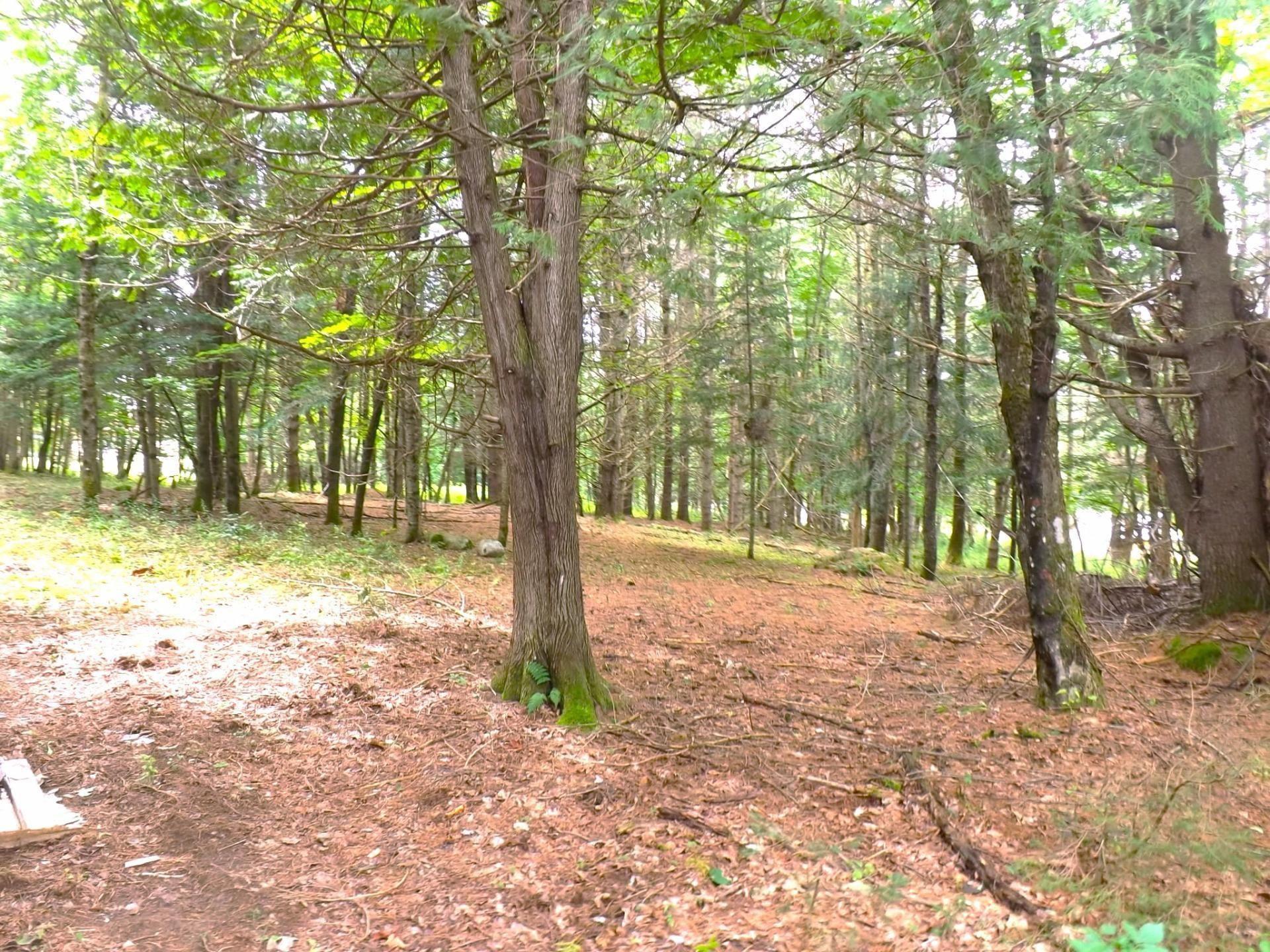 









18


Ch. Dewar

,
Harrington,







QC
J8G2T3

