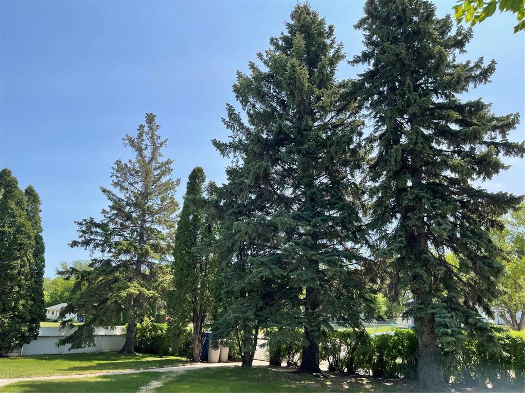 












280 2nd Avenue

,
Swan River,




Manitoba
R0L1G0

