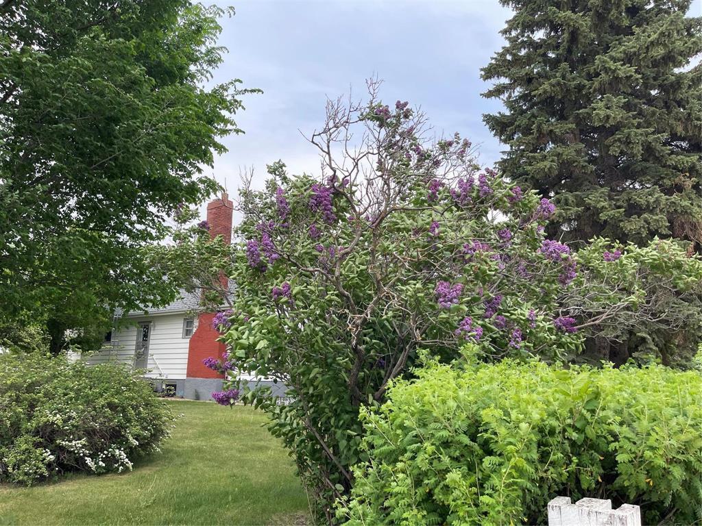 












280 2nd Avenue

,
Swan River,




Manitoba
R0L1G0


