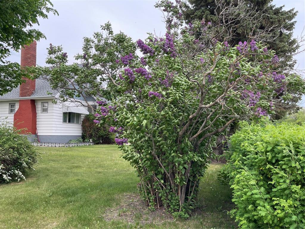 












280 2nd Avenue

,
Swan River,




Manitoba
R0L1G0

