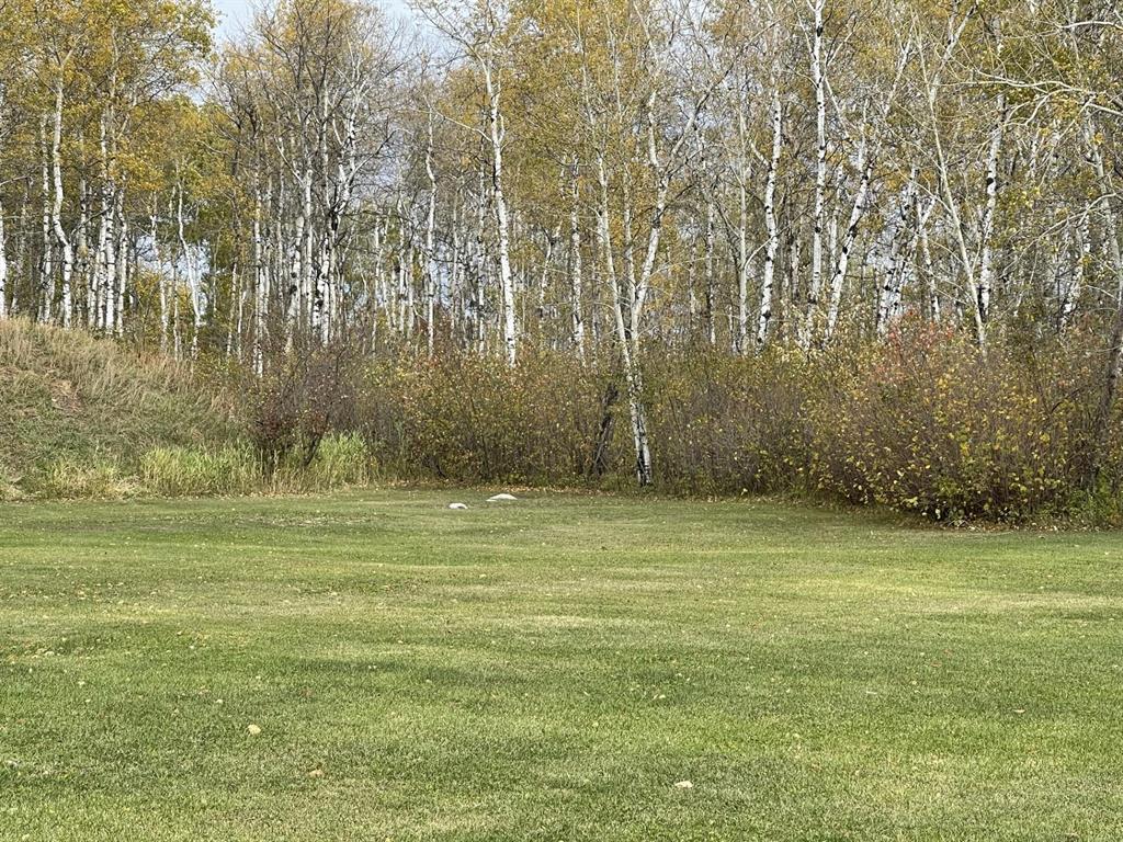 












218 Rd. 218 Richardson Pioneer Road

,
Swan River,




Manitoba
R0L1Z0

