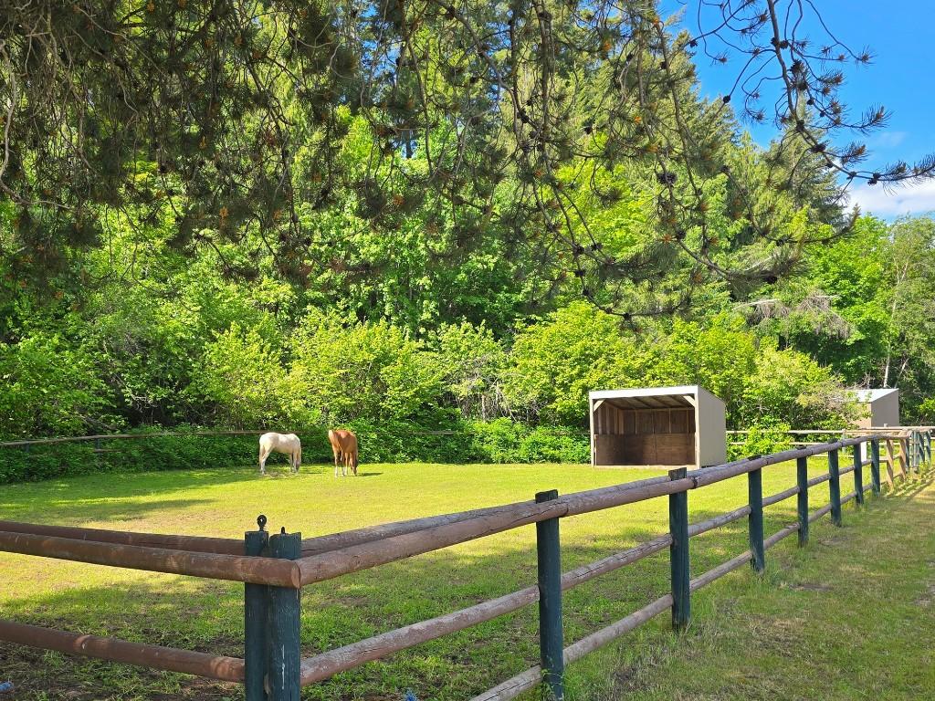 









4452


Sleepy Hollow

Road,
Armstrong,




BC
V0E 1B4

