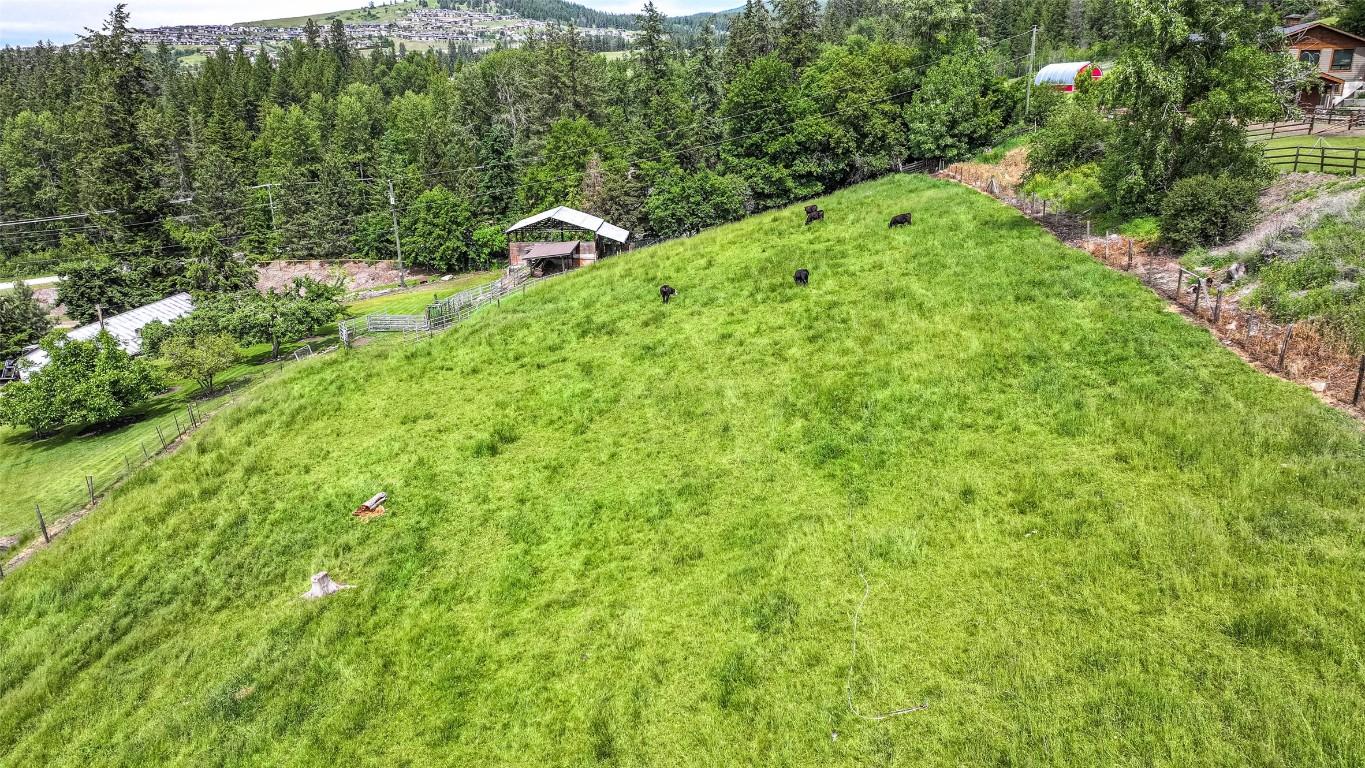 









5541


Dixon Dam

Road,
Vernon,




BC
V1B 3J7

