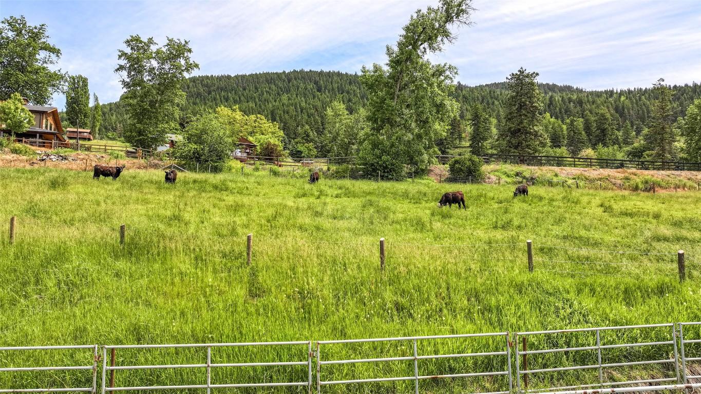 









5541


Dixon Dam

Road,
Vernon,




BC
V1B 3J7

