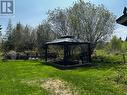 Gazebo in backyard