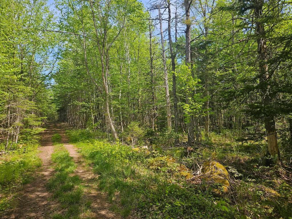 












22A Maple Drive

,
New Russell,







NS
B0J 2M0

