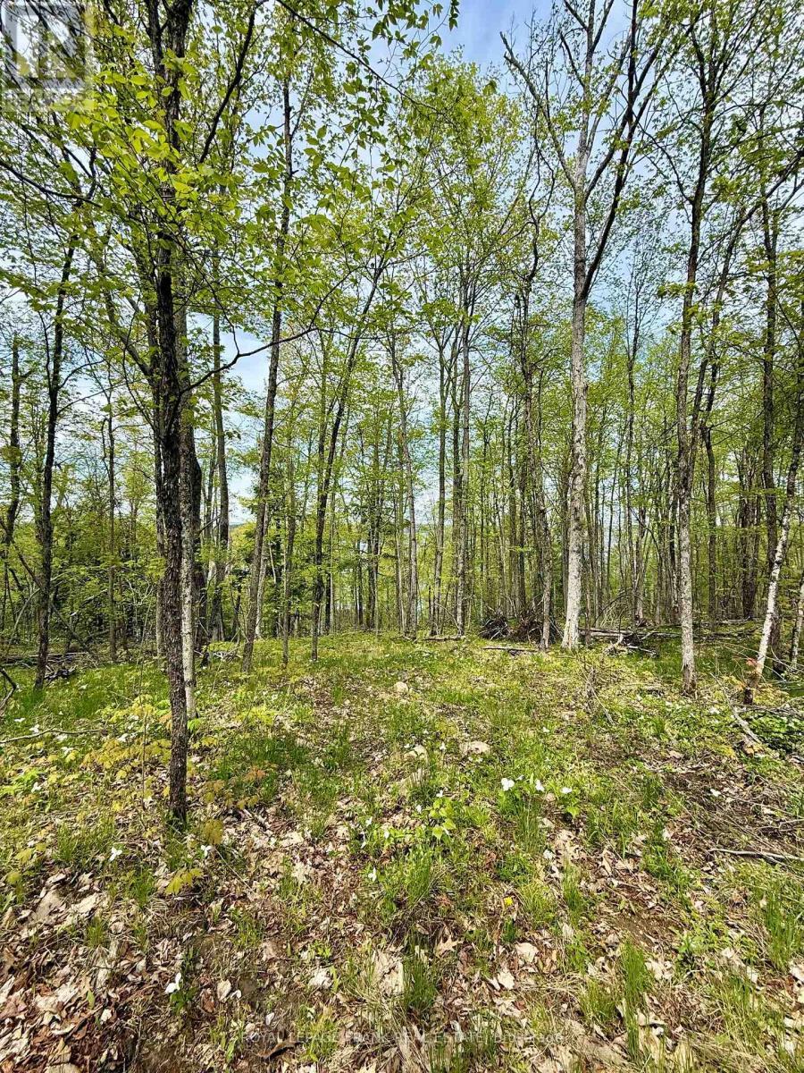 












00 BIRCHVIEW ROAD

,
Douro-Dummer,







Ontario
K0L2H0

