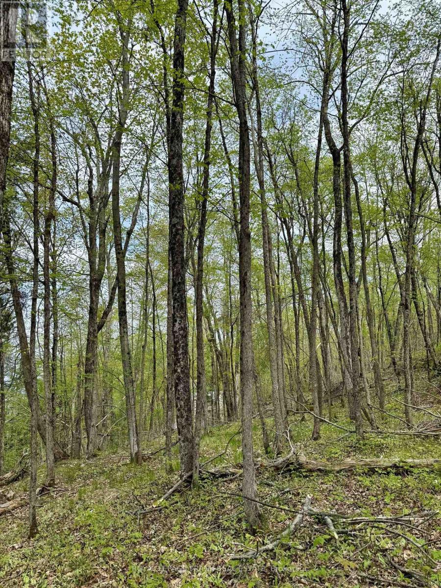 












00 BIRCHVIEW ROAD

,
Douro-Dummer,







Ontario
K0L2H0

