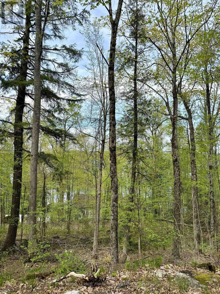 












00 BIRCHVIEW ROAD

,
Douro-Dummer,







Ontario
K0L2H0

