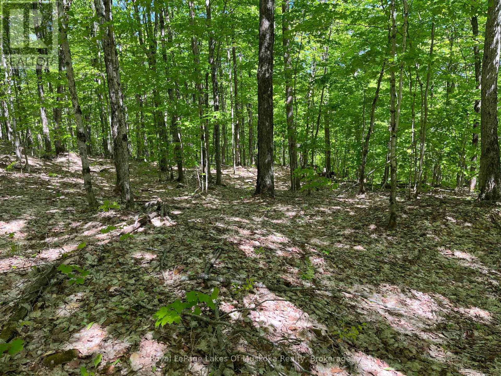 












LOT 40 SUNSET RIDGE

,
Huntsville (Stisted),







Ontario
P1H2J2

