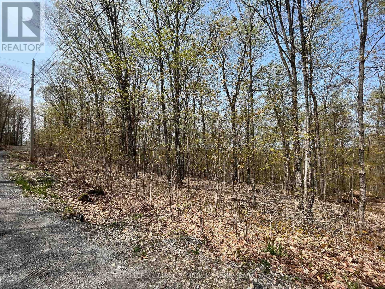












LOT 40 SUNSET RIDGE

,
Huntsville (Stisted),







Ontario
P1H2J2

