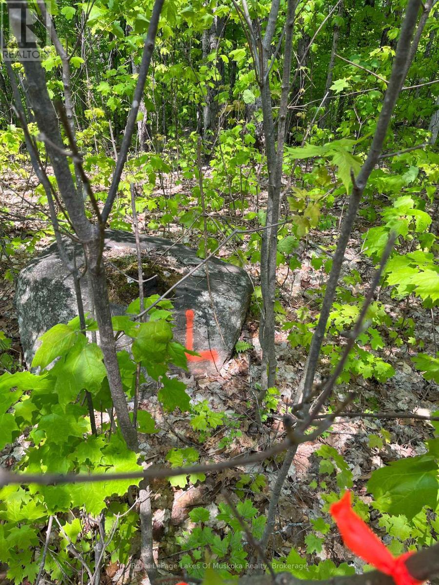 












LOT 40 SUNSET RIDGE

,
Huntsville (Stisted),







Ontario
P1H2J2

