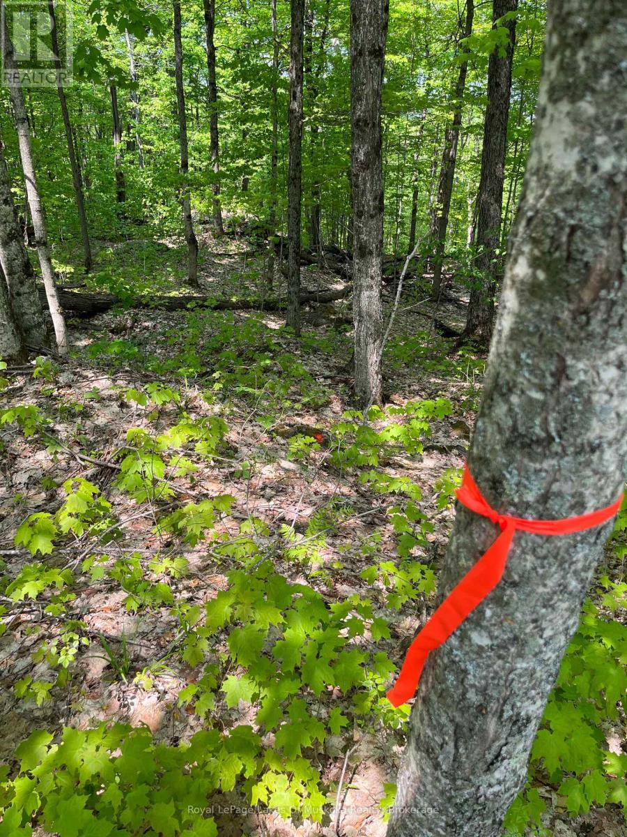 












LOT 40 SUNSET RIDGE

,
Huntsville (Stisted),







Ontario
P1H2J2

