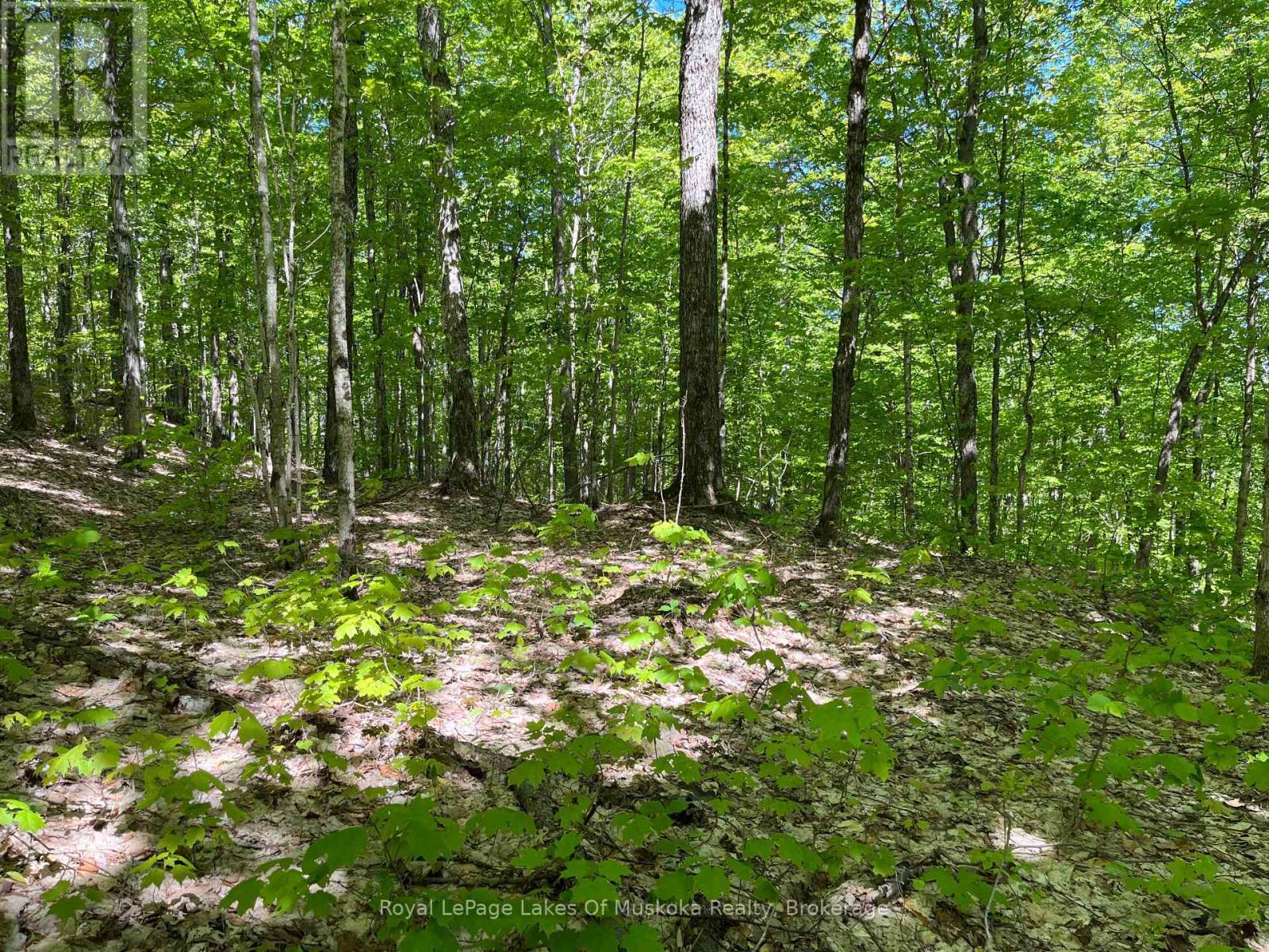 












LOT 40 SUNSET RIDGE

,
Huntsville (Stisted),







Ontario
P1H2J2


