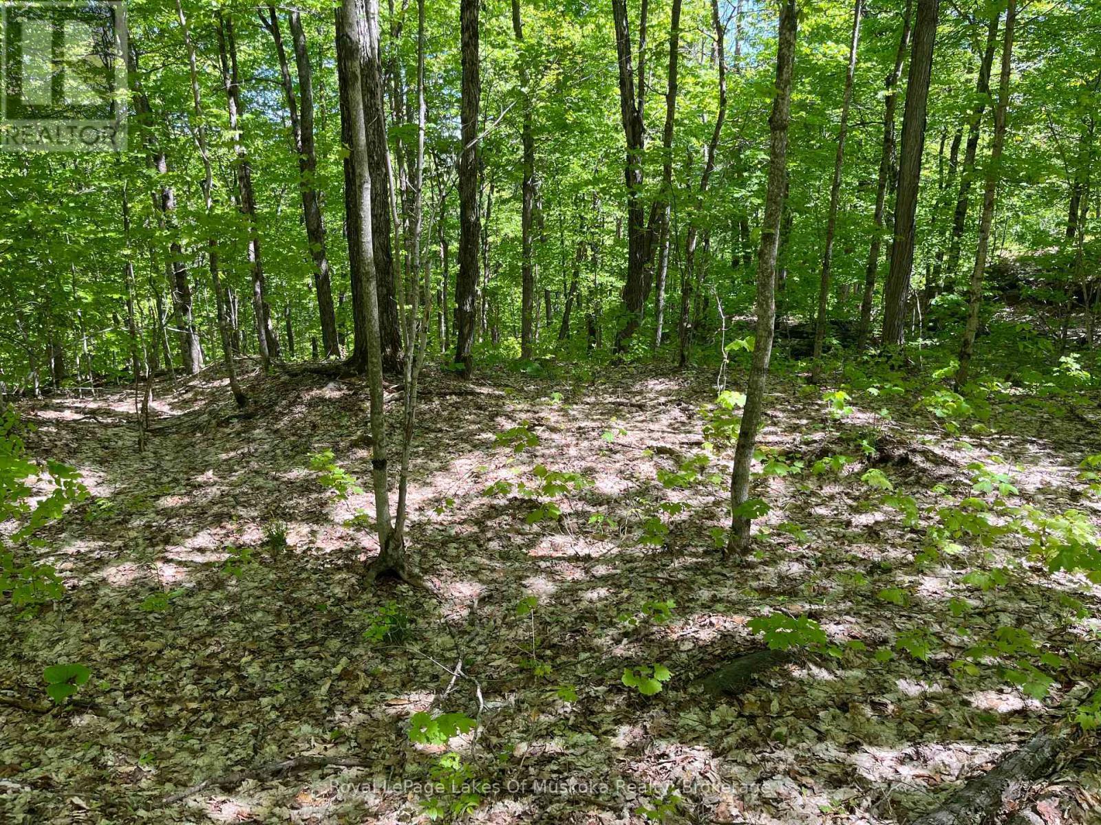 












LOT 40 SUNSET RIDGE

,
Huntsville (Stisted),







Ontario
P1H2J2

