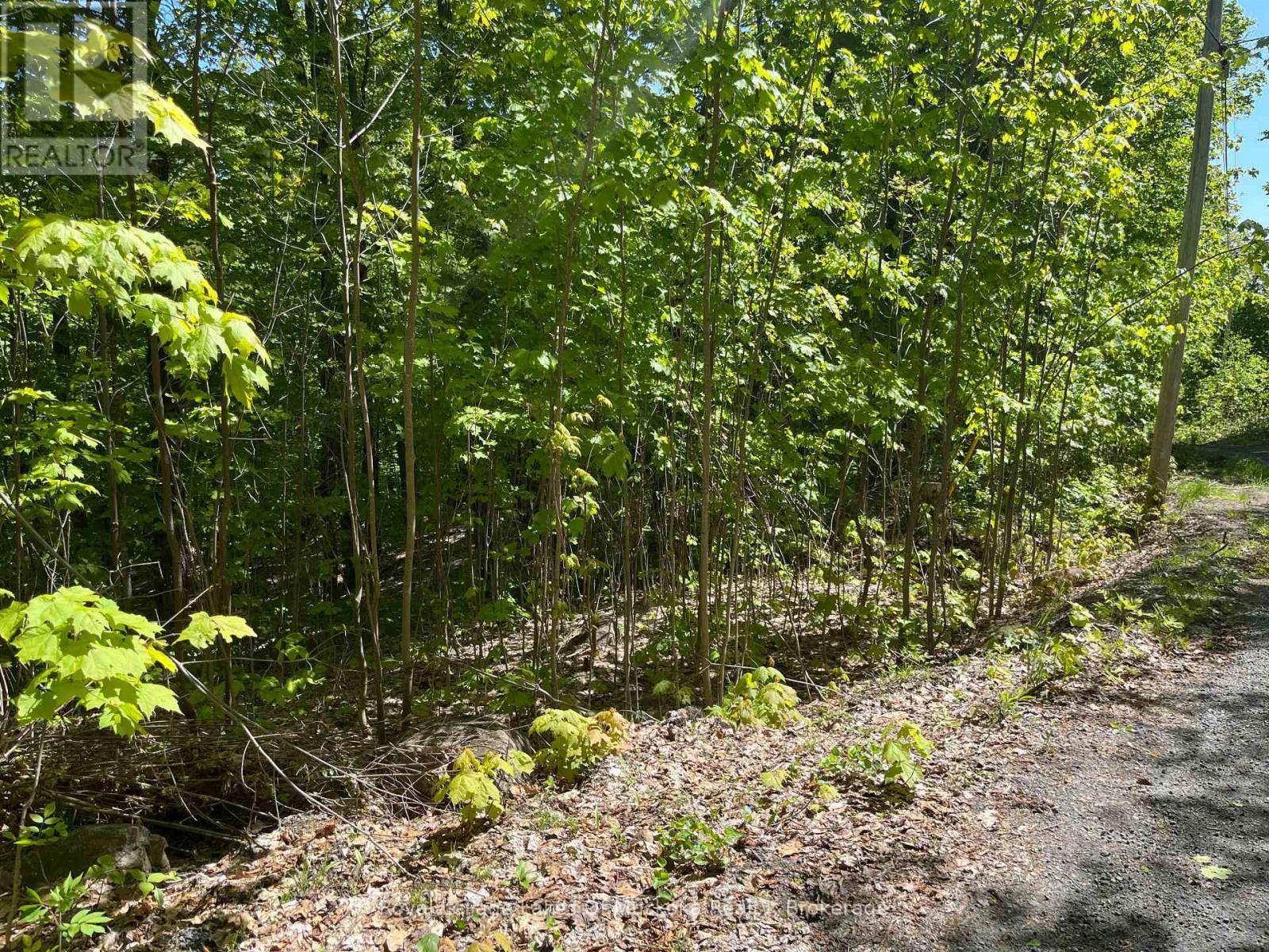 












LOT 40 SUNSET RIDGE

,
Huntsville (Stisted),







Ontario
P1H2J2

