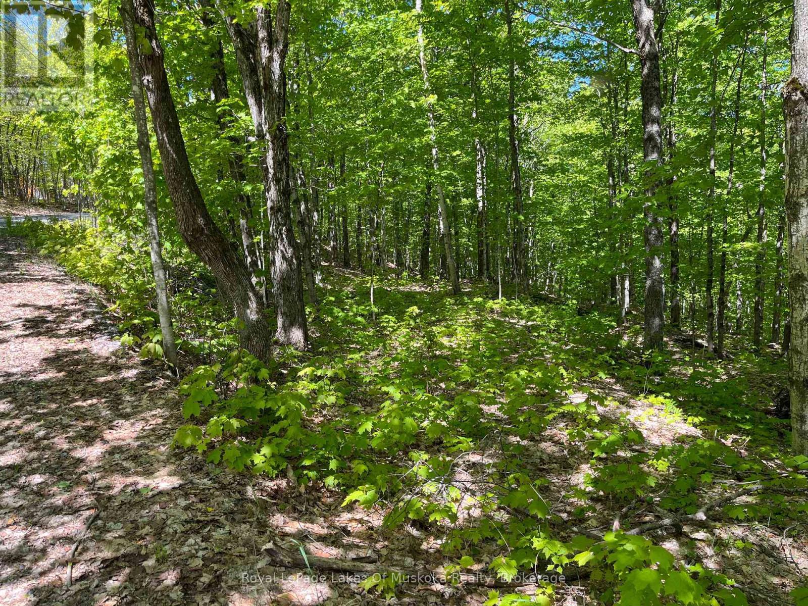 












LOT 40 SUNSET RIDGE

,
Huntsville (Stisted),







Ontario
P1H2J2

