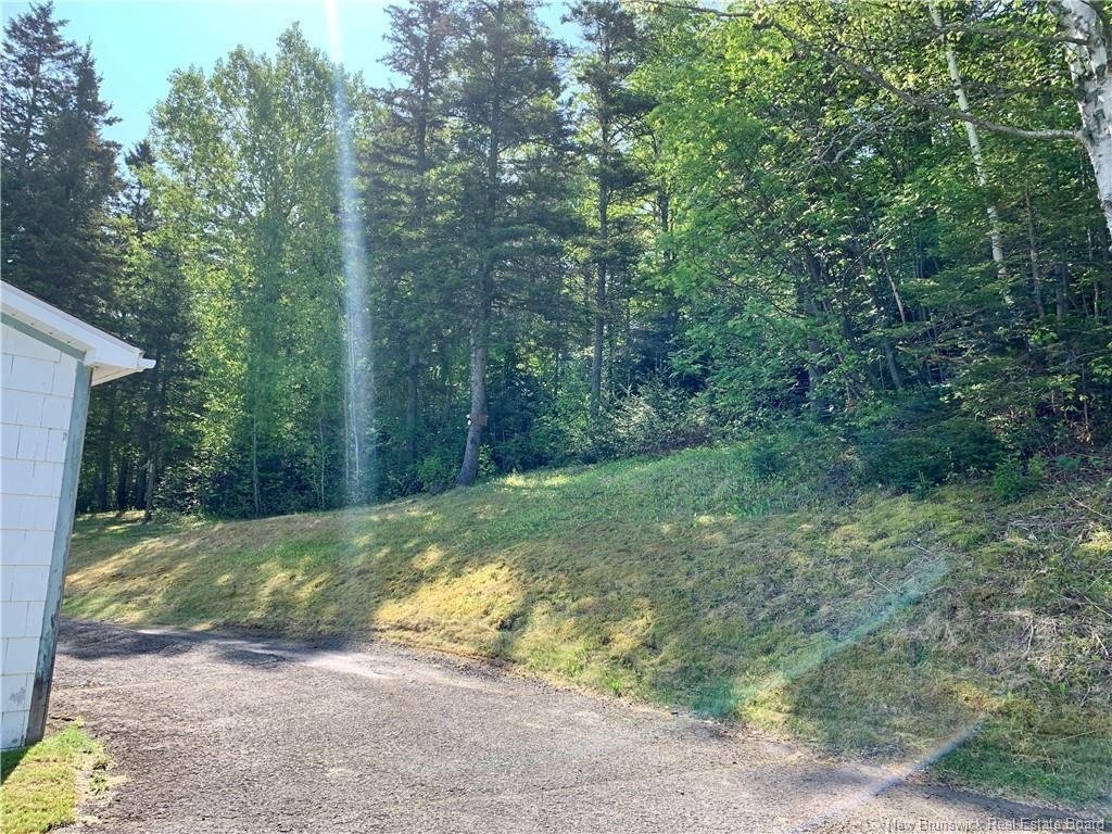 









343


Renfrew

,
Dalhousie,




NB
E8C 2J4

