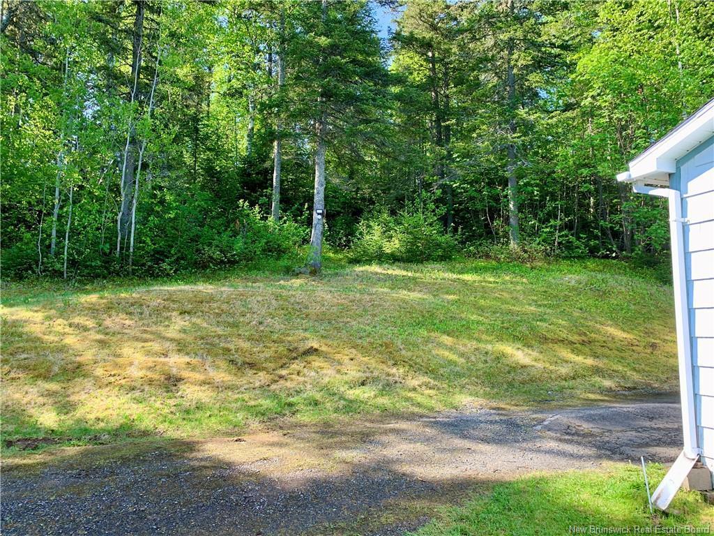 









343


Renfrew

,
Dalhousie,




NB
E8C 2J4

