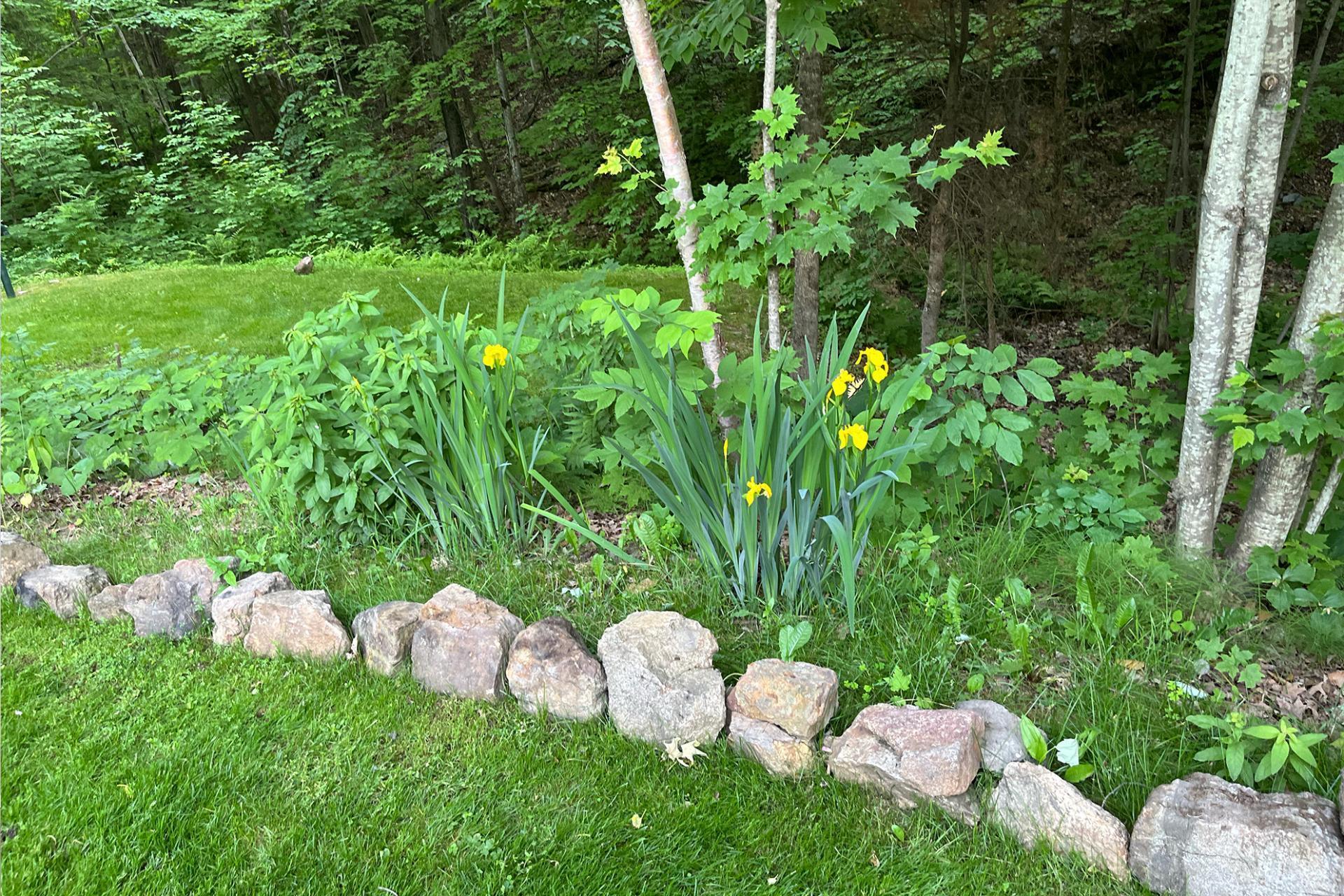 









39


Ch. de la Topaze

,
L'Ange-Gardien,




QC
J8L0G1

