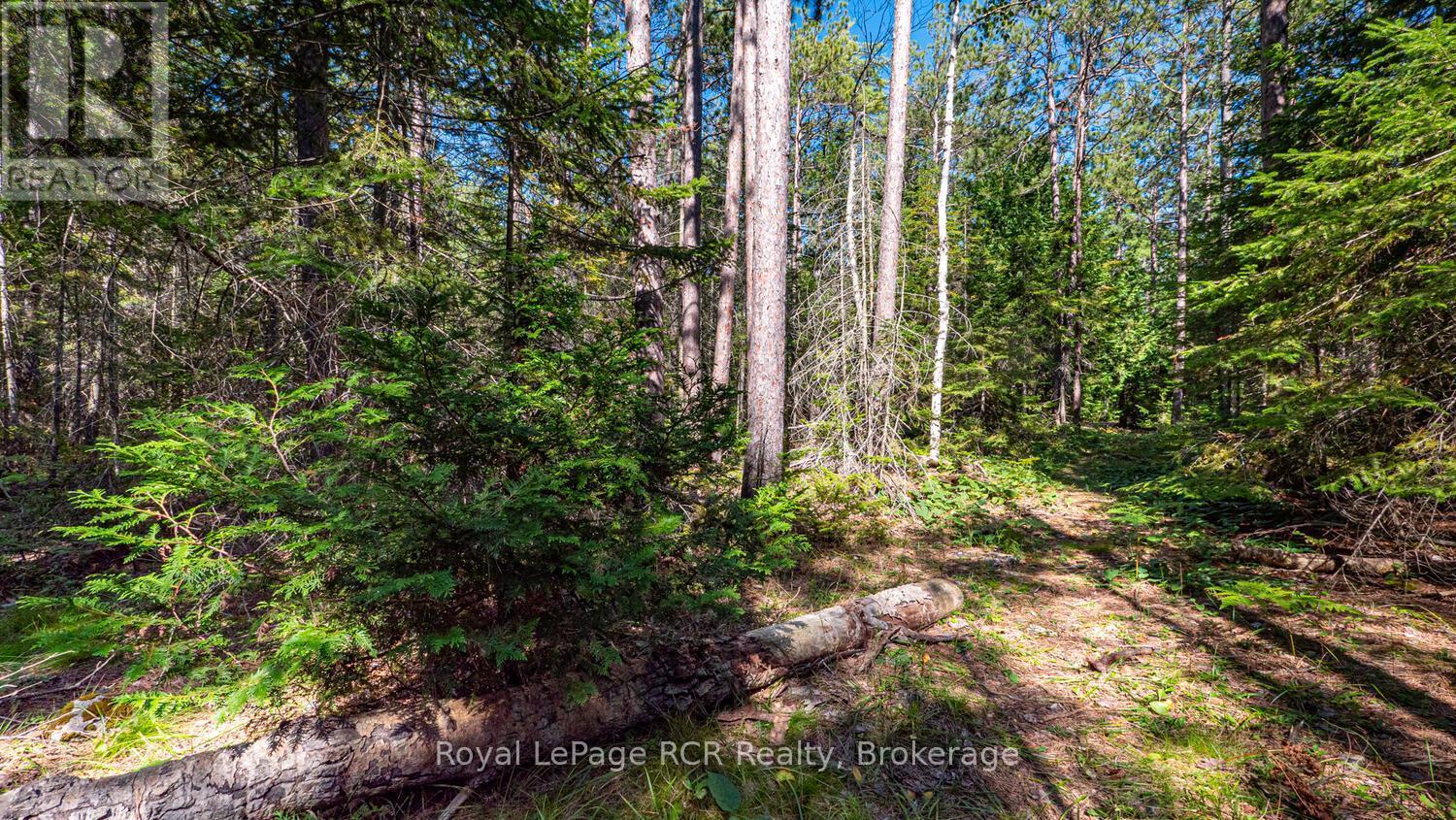 












6313 HIGHWAY 6

,
Northern Bruce Peninsula,




Ontario
N0H2R0

