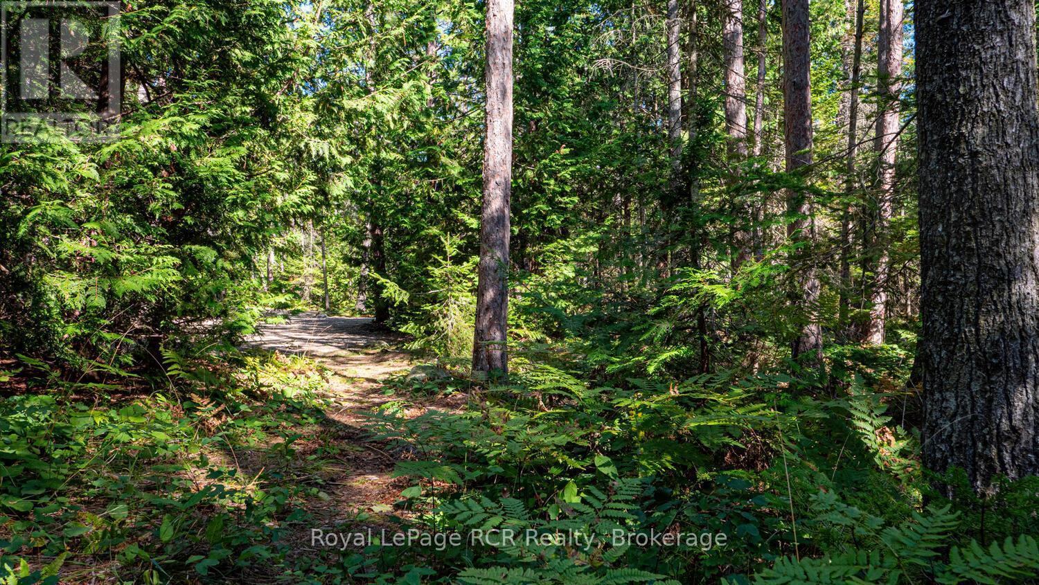












6313 HIGHWAY 6

,
Northern Bruce Peninsula,




Ontario
N0H2R0

