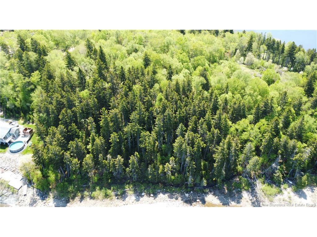 









LOT


Lydia's Ledge

RD,
Utopia,







NB
E5C 3B1

