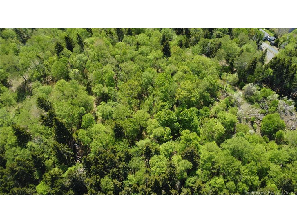 









LOT


Lydia's Ledge

RD,
Utopia,







NB
E5C 3B1

